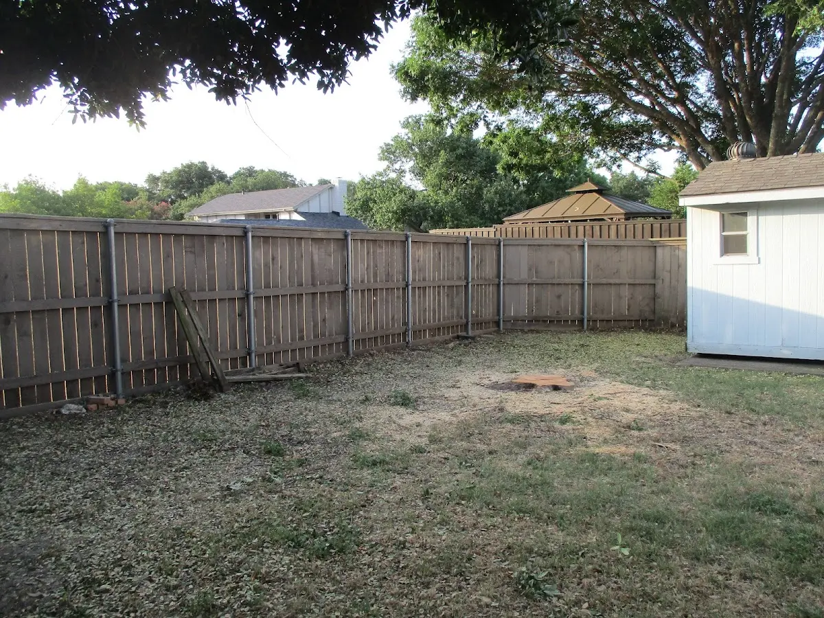 Cleared yard after professional tree removal in Battiest